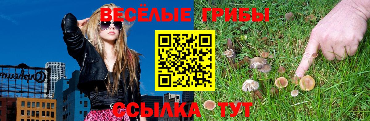 Псилоцибиновые грибы мицелий Новодвинск
